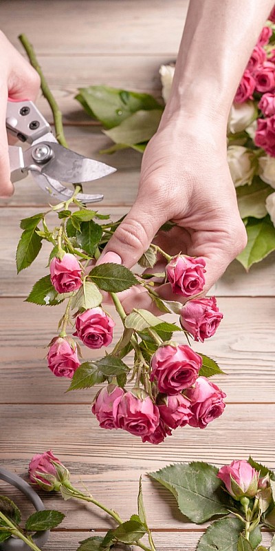 Symbolfoto Erkrath | Blumen Bremkens - Hochszeitssträuße - Pflanzen - Trauerfloristik