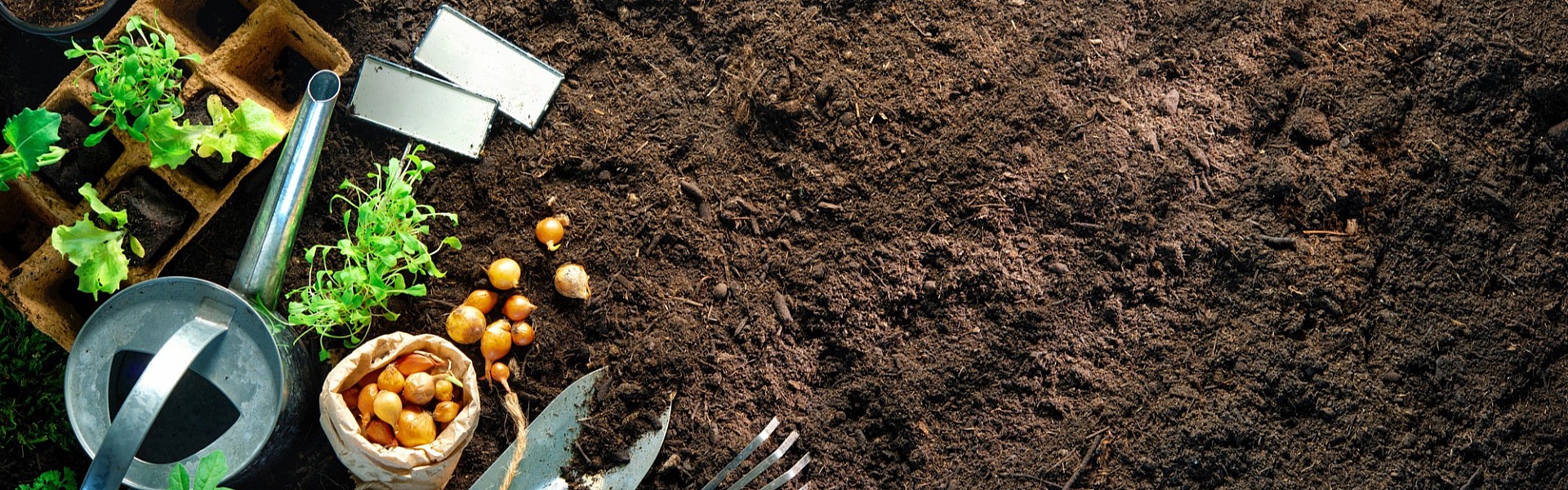 Symbolfoto Blumen Bremkens - Blumenzubehör von Dünger bis Vasen