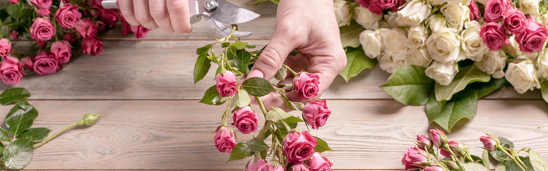 Symbolfoto Meerbusch | Blumen Bremkens - Hochszeitssträuße - Pflanzen - Trauerfloristik