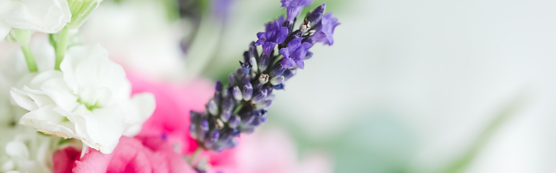 Symbolfoto Blumen Bremkens - Blumen - Hochszeitssträuße - Pflanzen - Trauerfloristik