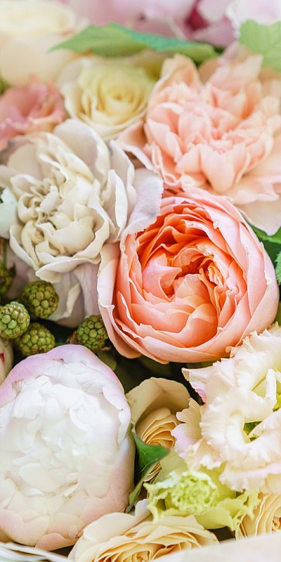 Symbolfoto Mettmann | Blumen Bremkens - Hochszeitssträuße - Pflanzen - Trauerfloristik