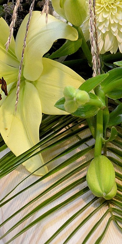 Symbolfoto Blumen Bremkens - Kränze - Gestecke - Trauerflorisitik