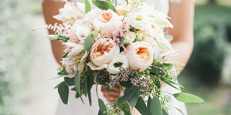 Bild zum Thema Hochzeiten